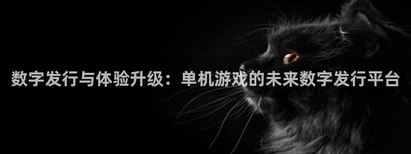 新宝GG子财经出版中心：数字发行与体验升级：单机游戏的未来数字发行平台