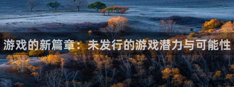 广州新宝GG网络科技有限公司怎么样：游戏的新篇章：未发行的游戏潜力与可能性