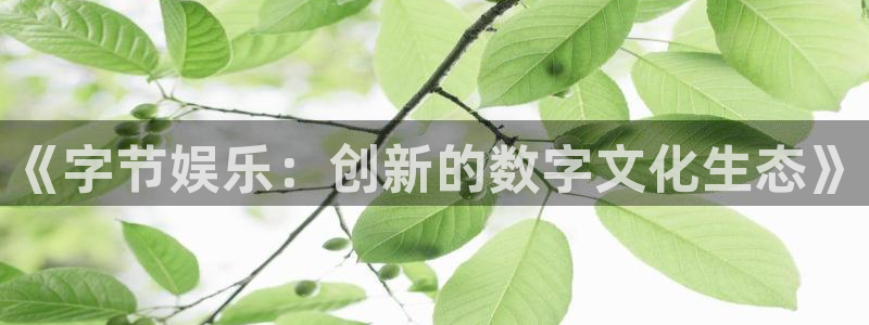 新宝GG官网登录注册账号是什么意思：《字节娱乐：创新的数字文化生态》