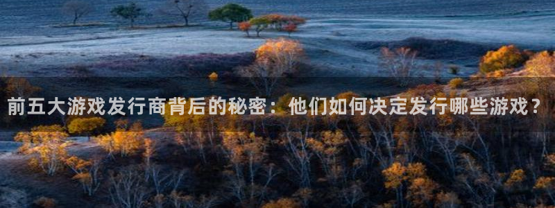 新宝GG电子商务有限公司地址：前五大游戏发行商背后的秘密：他们如何决定发行哪些游戏？