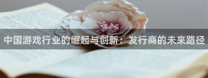 新宝GG集团品牌策划机构：中国游戏行业的崛起与创新：发行商的未来路径