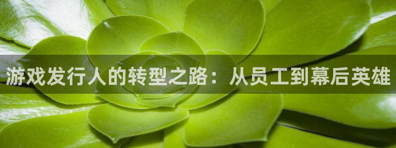 江苏新宝GG智得新材料有限公司：游戏发行人的转型之路：从员工到幕后英雄