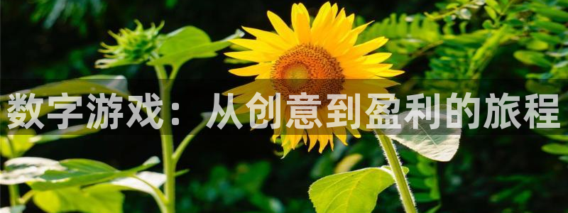 新宝GG电商怎么样：数字游戏：从创意到盈利的旅程