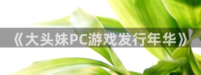 新宝GG品牌策划：《大头妹PC游戏发行年华》
