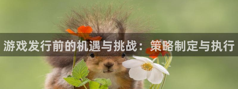 广州新宝GG网络科技有限公司电话：游戏发行前的机遇与挑战：策略制定与执行