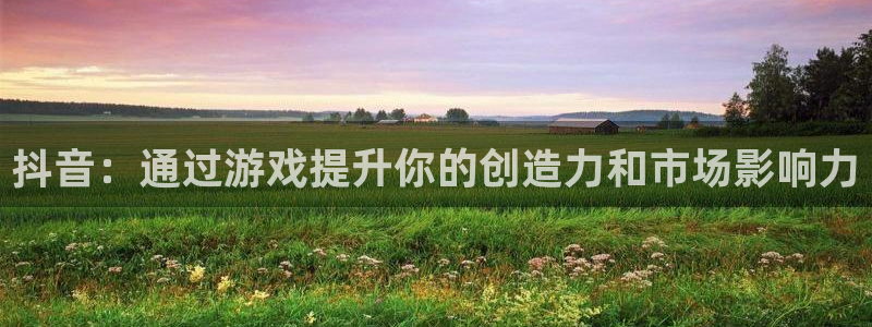 新宝GG官网注册平台怎么注册不了：抖音：通过游戏提升你的创造力和市场影响力