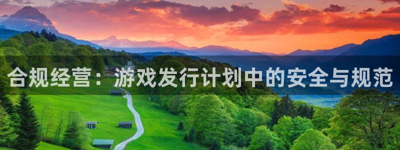 新宝GG子文化创意做什么的：合规经营：游戏发行计划中的安全与规范