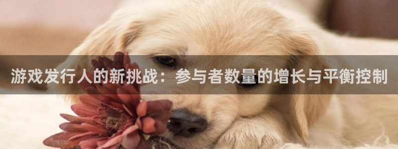 新宝GG子集团：游戏发行人的新挑战：参与者数量的增长与平衡控制