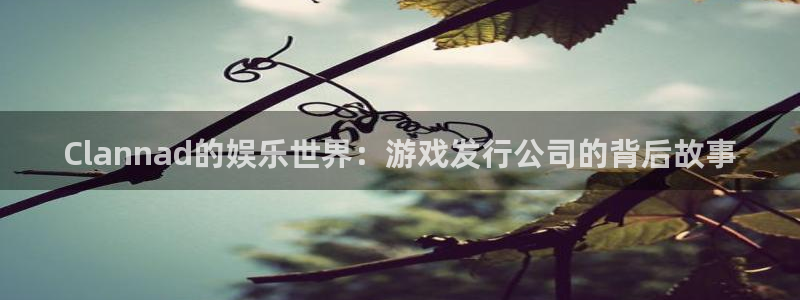 新宝GG官网平台招商qq：Clannad的娱乐世界：游戏发行公司的背后故事
