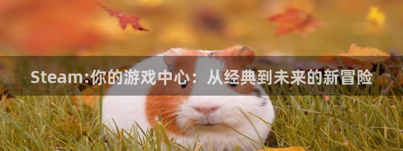 新宝GG官网注册地址在哪里查：Steam:你的游戏中心：从经典到未来的新冒险