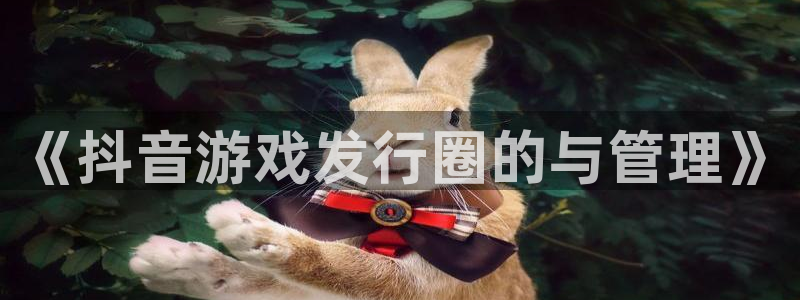 陕西新宝GG子文化创意有限公司有什么游戏：《抖音游戏发行圈的与管理》