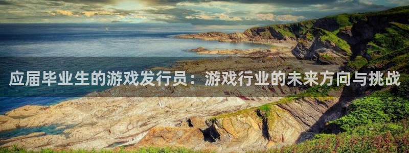新宝GG官网登录注册不了：应届毕业生的游戏发行员：游戏行业的未来方向与挑战