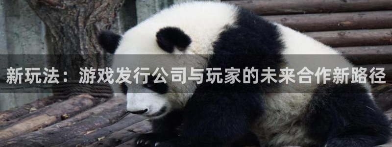 新宝GG防水是几线品牌：新玩法：游戏发行公司与玩家的未来合作新路径