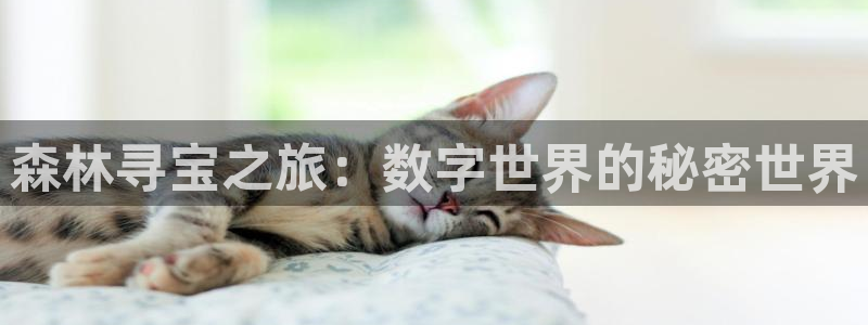 新宝GG官网骗局是真的吗