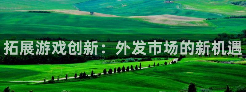 新宝GG是什么