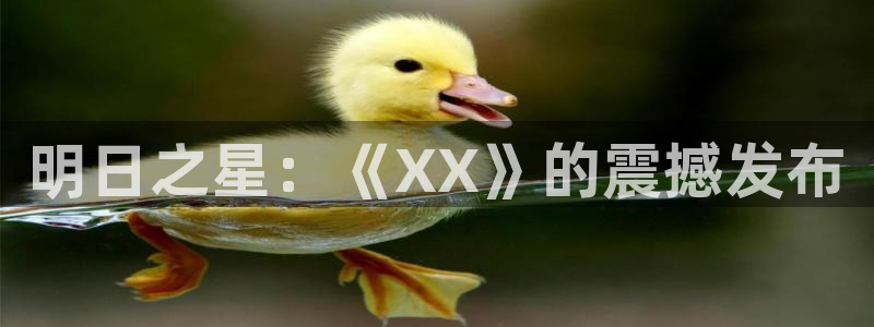 新宝GG技术有限公司官网