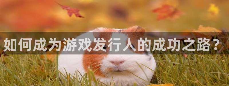 新宝GG品牌策划
