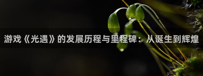 新宝GG子经理人读后感：游戏《光遇》的发展历程与里程碑：从诞生到辉煌