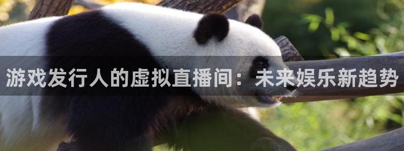 重庆新宝GG子文化传播有限公司