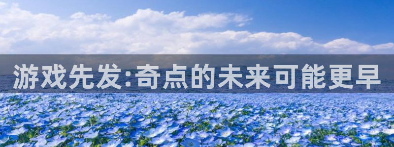 新宝GG电子商务