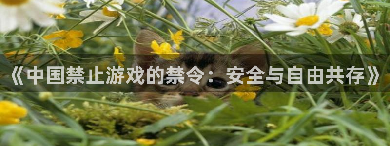 新宝GG官网客服：《中国禁止游戏的禁令：安全与自由共存》