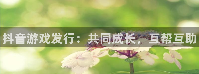 新宝GG官网注册平台登录不了：抖音游戏发行：共同成长，互帮互助