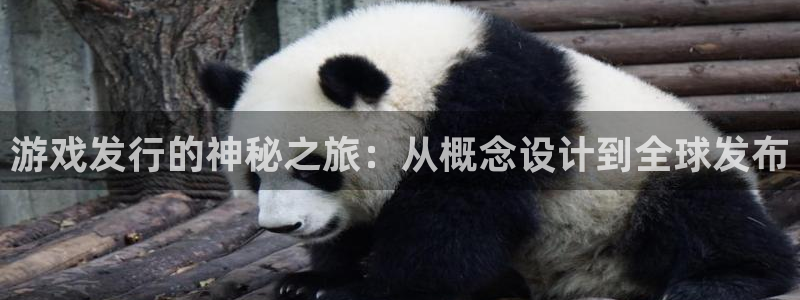 新宝GG官网注册平台怎么注册：游戏发行的神秘之旅：从概念设计到全球发布