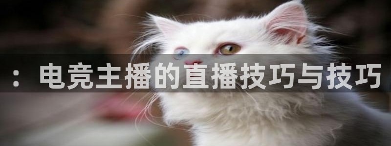 新宝GG官网代理注册地址：：电竞主播的直播技巧与技巧