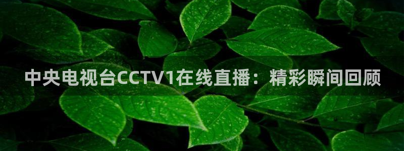 小九nba在线直播免费观看直播高清：中央电视台CCTV1在线直播：精彩瞬间回顾