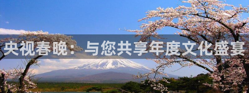 小九体育直播免费观看：央视春晚：与您共享年度文化盛宴