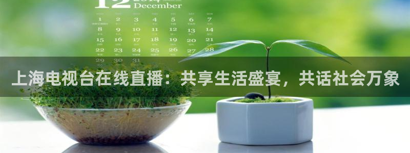 小九直播足球在线观看：上海电视台在线直播：共享生活盛宴，共话社会万象
