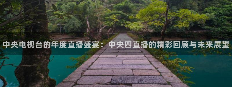 小九足球直播：中央电视台的年度直播盛宴：中央四直播的精彩回顾与未来展望