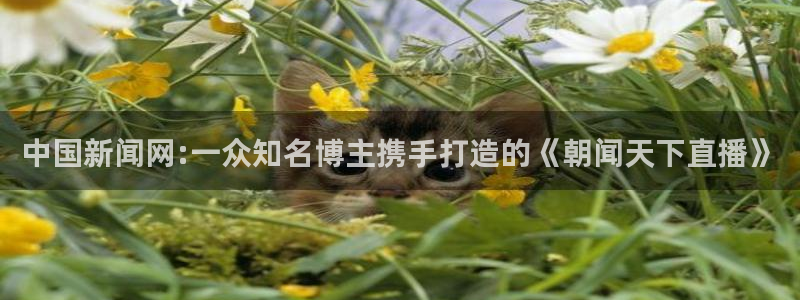 小九nba直播在线观看：中国新闻网:一众知名博主携手打造的《朝闻天下直播》