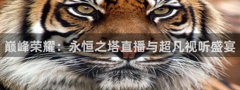 小九是谁：巅峰荣耀：永恒之塔直播与超凡视听盛宴
