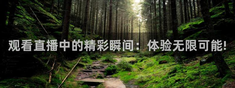小九直播nba免费观看高清：观看直播中的精彩瞬间：体验无限可能!